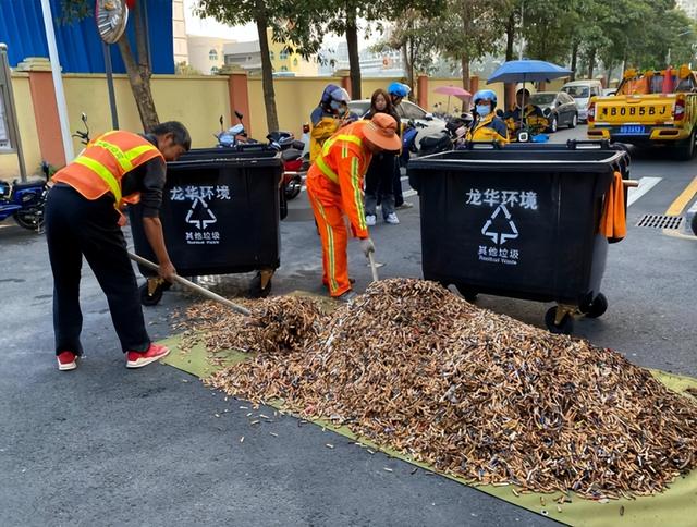 煙頭回收煙頭回收多少錢一斤賣給誰插圖6