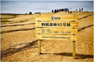 螞蟻森林暴露消費(fèi)記錄通過螞蟻森林看消費(fèi)記錄