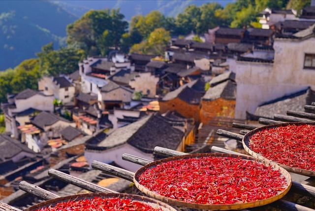 江西特產江西特產有哪些土特產零食插圖