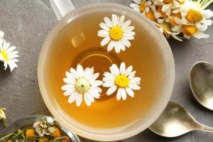 女生的小雛菊長什么樣雛菊花長什么樣子