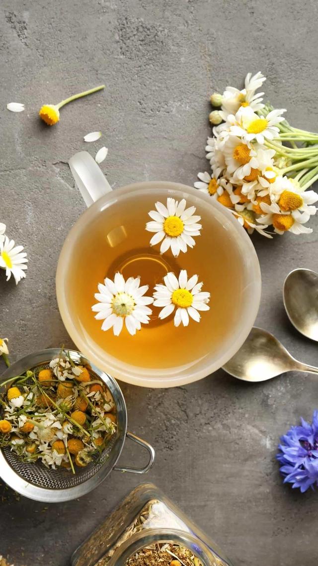 女生的小雛菊長什么樣雛菊花長什么樣子插圖