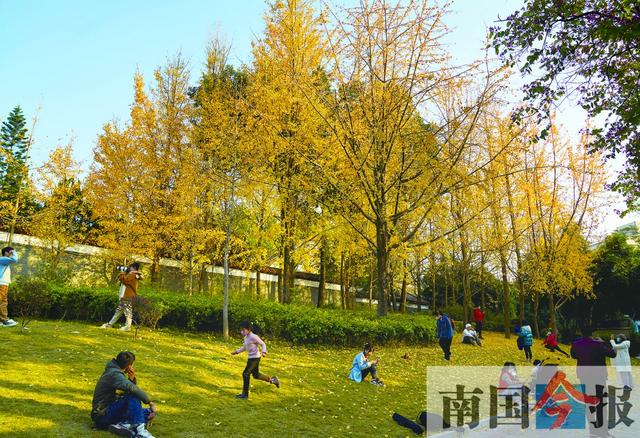 焦點圖焦點圖是什么意思網絡用語插圖6