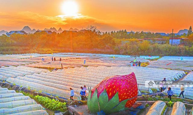 焦點圖焦點圖是什么意思網絡用語插圖2