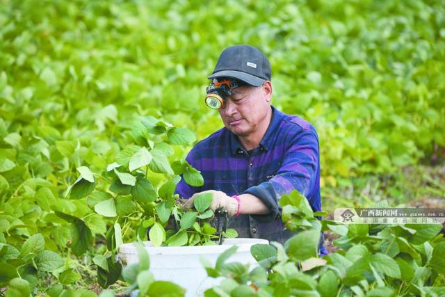 焦點圖焦點圖是什么意思網絡用語插圖8