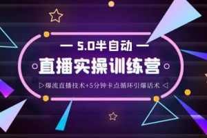 螞蟻·5.0半自動直播2345打法，半自動爆流直播技術 5分鐘卡點循環引爆話術