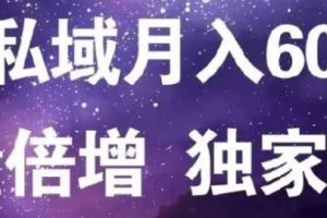 原力網賺精準私域月入60000 ,流量倍增獨家玩法