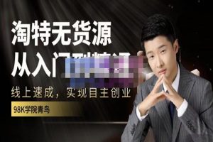 98k學院的淘特無貨源線上速成課，從入門到精通，讓你最小投入，最高回報