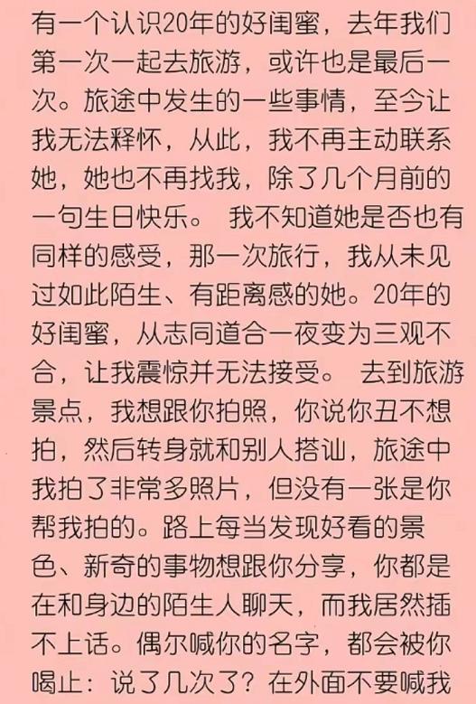 旅行團(tuán)旅行團(tuán)樂隊成員介紹插圖5