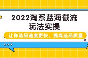2022淘系藍(lán)海截流玩法實(shí)操：讓你選品速度更快，提高選品質(zhì)量（價(jià)值599）