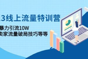 2023線上流量特訓(xùn)營：中小賣家流量破局技巧等等