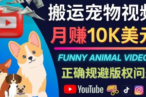 搬運TIKTOK視頻到YouTube，并進行二次創作，月賺1萬美元以上