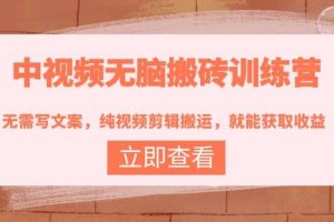 中視頻無腦搬磚訓練營：無需寫文案，純視頻剪輯搬運，就能獲取收益