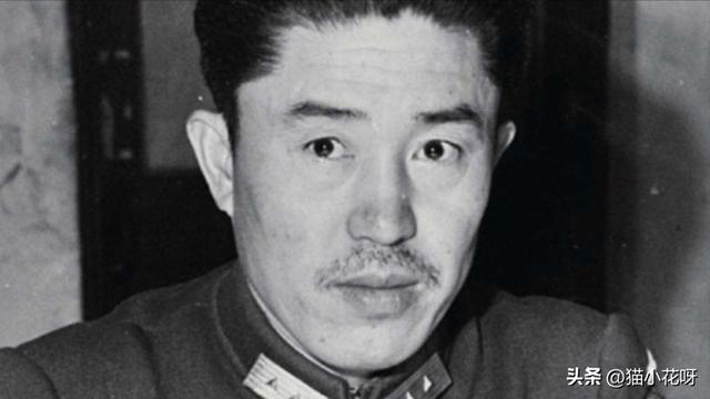 第五部隊第五部隊全文免費閱讀無彈窗插圖2