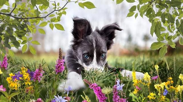 賣照片賺錢網站賣照片賺錢網站哪個好用插圖4