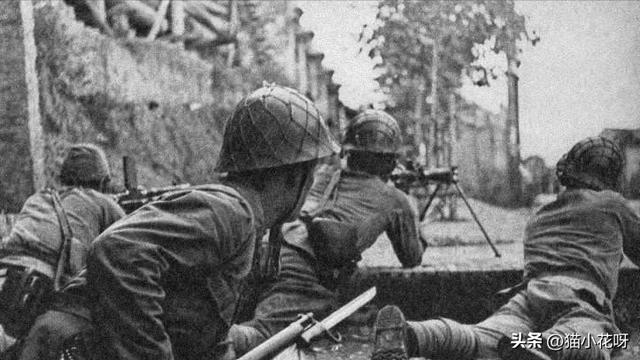 第五部隊第五部隊全文免費閱讀無彈窗插圖5