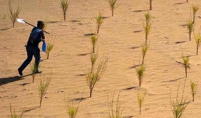 螞蟻森林暴露消費記錄通過螞蟻森林看消費記錄插圖5