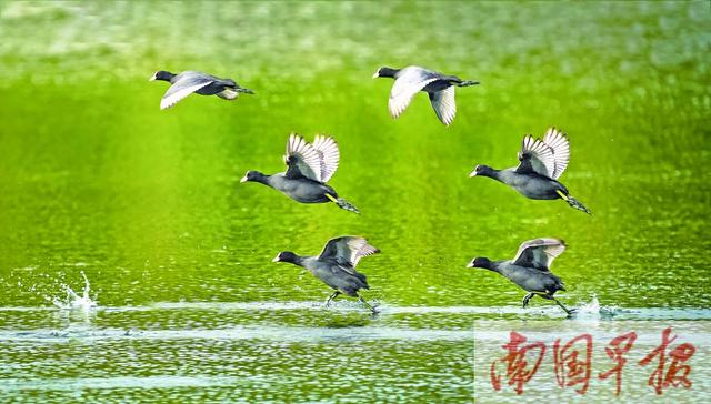 焦點圖焦點圖是什么意思網絡用語插圖3