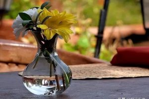 福緣論壇福緣論壇真的嗎