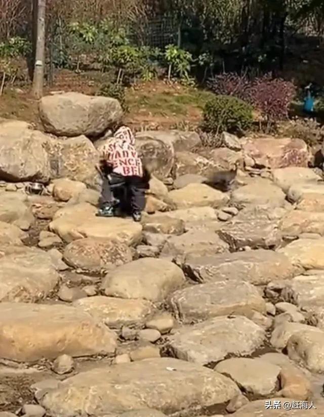 世界上最恐怖的孔雀世界上最恐怖的孔雀長什么樣插圖