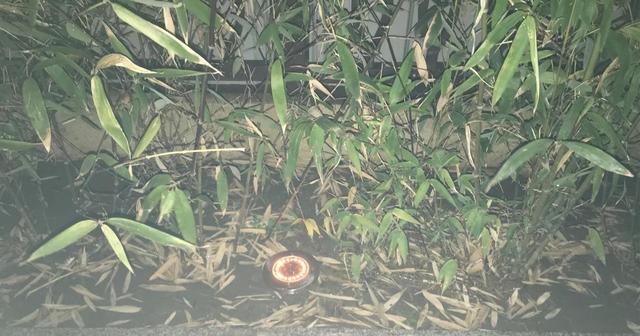 拼多多—分搶真實嗎拼多多一分搶購是真的嗎插圖2