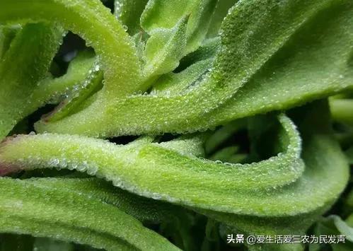 無本錢創業的十個行業現在無本熱門的賺錢行業插圖6