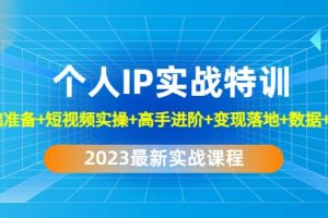 2023個人IP實戰特訓：基礎準備 短視頻實操 高手進階 變現落地 數據 電商