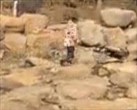 世界上最恐怖的孔雀世界上最恐怖的孔雀長什么樣子