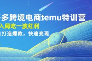 拼多多跨境電商temu特訓(xùn)營：先入局吃一波紅利，從0到1打造爆款，快速變現(xiàn)