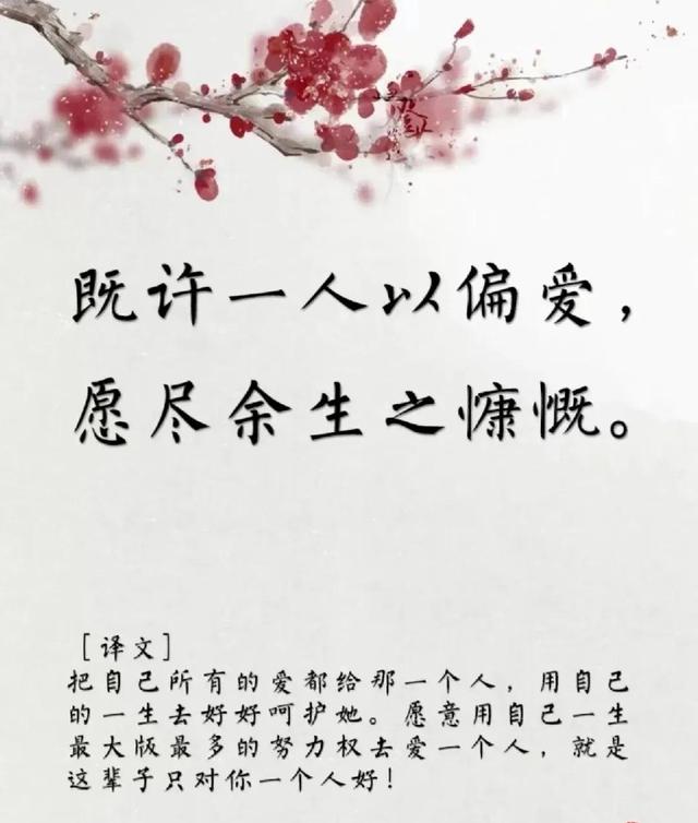 用古文暗示我等你白茶清歡無別事,我在等風也等你全詩插圖4