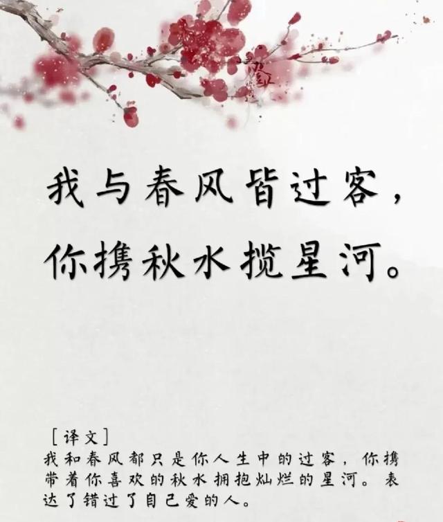 用古文暗示我等你白茶清歡無別事,我在等風也等你全詩插圖1