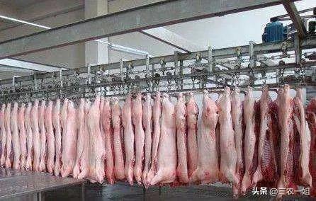 2022年養(yǎng)什么掙錢最快的2022年養(yǎng)啥最掙錢東北插圖1