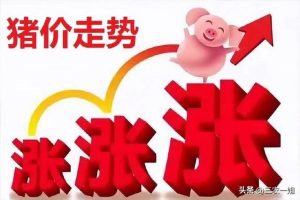 2022年養(yǎng)什么掙錢最快的2022年養(yǎng)啥最掙錢東北