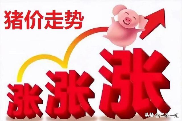2022年養(yǎng)什么掙錢最快的2022年養(yǎng)啥最掙錢東北插圖