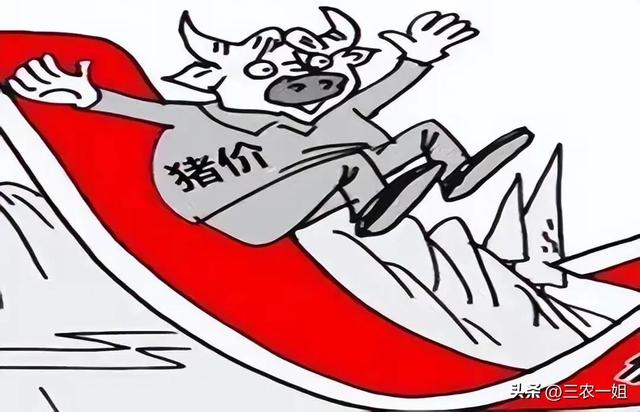 2022年養(yǎng)什么掙錢最快的2022年養(yǎng)啥最掙錢東北插圖5