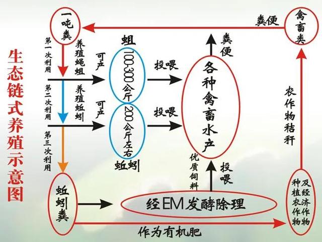 生財之道生財之道賺錢的100種途徑是什么插圖1