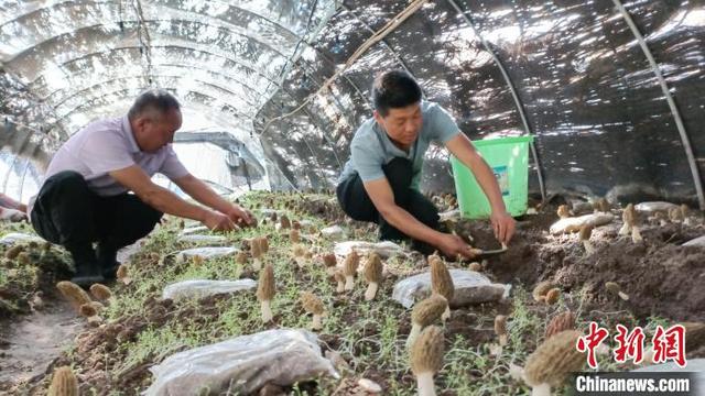 鄉鎮空缺生意鄉鎮空缺生意手工活加工插圖