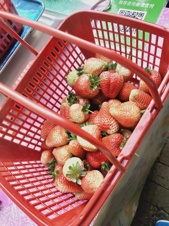 十大巔峰都市系統(tǒng)流小說排行榜(2)插圖