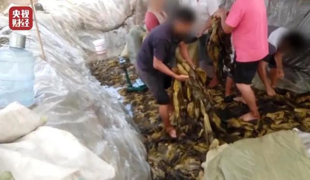 快消品是什么快消品是什么意思啊插圖