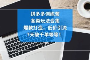 拼多多訓練營：各玩法合集，爆款打造，低價引流，7天破千單等等