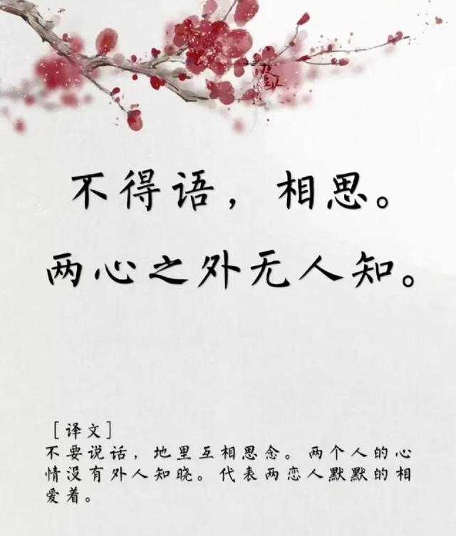 用古文暗示我等你白茶清歡無別事,我在等風也等你全詩插圖6