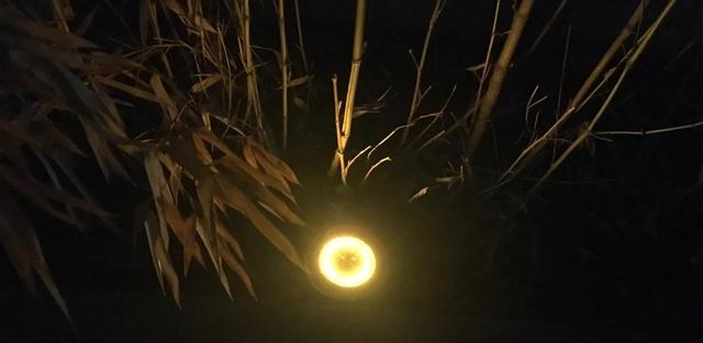 拼多多—分搶真實嗎拼多多一分搶購是真的嗎插圖