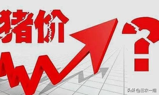 2022年養(yǎng)什么掙錢最快的2022年養(yǎng)啥最掙錢東北插圖7