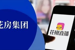 網(wǎng)絡(luò)擦邊球暴利項(xiàng)目網(wǎng)絡(luò)擦邊球暴利項(xiàng)目