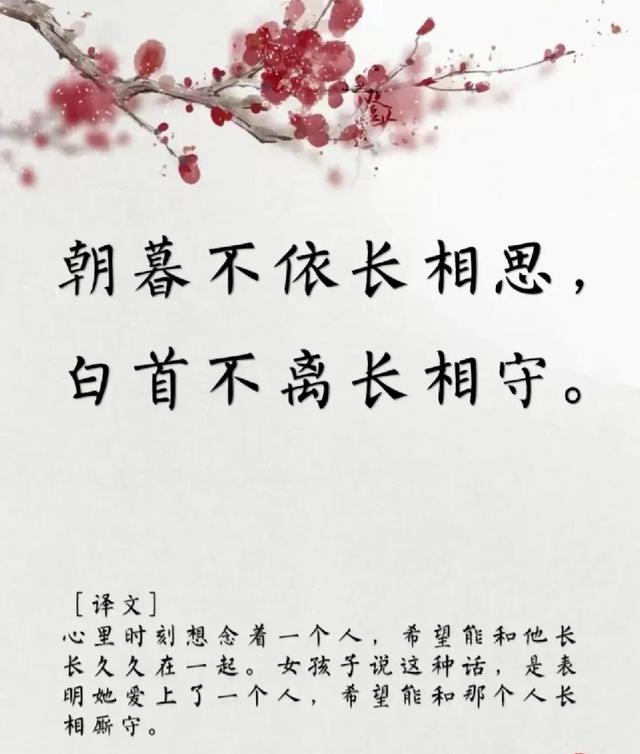 用古文暗示我等你白茶清歡無別事,我在等風也等你全詩插圖7