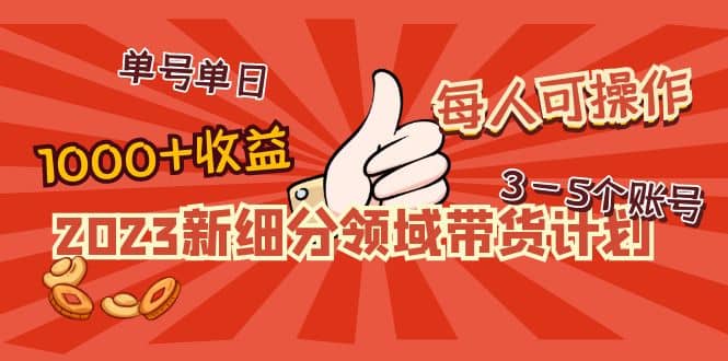 2023新細分領域帶貨計劃:單號單日1000 收益不難,每人可操作3-5個賬號插圖 2023新細分領域帶貨計劃:單號單日1000 收益不難,每人可操作3-5個賬號插圖