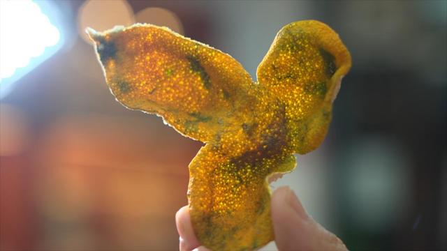 拼多多助力全是福氣滿滿拼多多福氣滿滿還有希望嗎插圖2