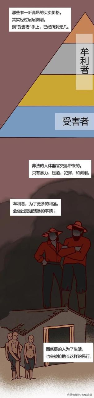 現在—個腎值多少錢插圖4