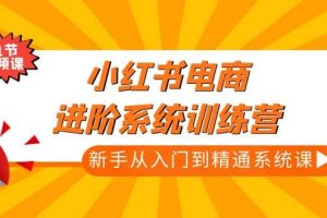 小紅書電商進(jìn)階系統(tǒng)訓(xùn)練營(yíng)：新手從入門到精通系統(tǒng)課（21節(jié)視頻課）