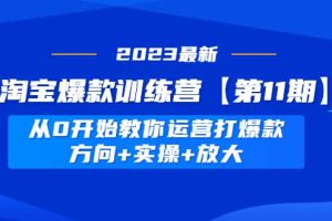 淘寶爆款訓練營【第11期】 從0開始教你運營打爆款，方向 實操 放大