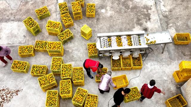 拼多多助力全是福氣滿滿拼多多福氣滿滿還有希望嗎插圖4